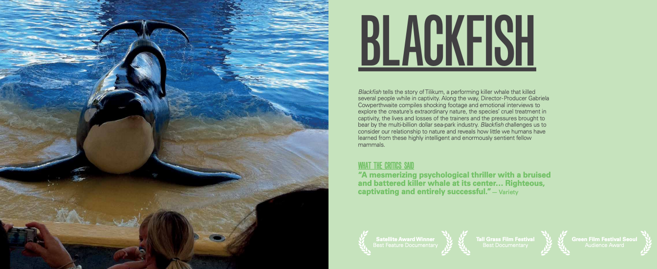 Getting Real about Brands and Impact Films